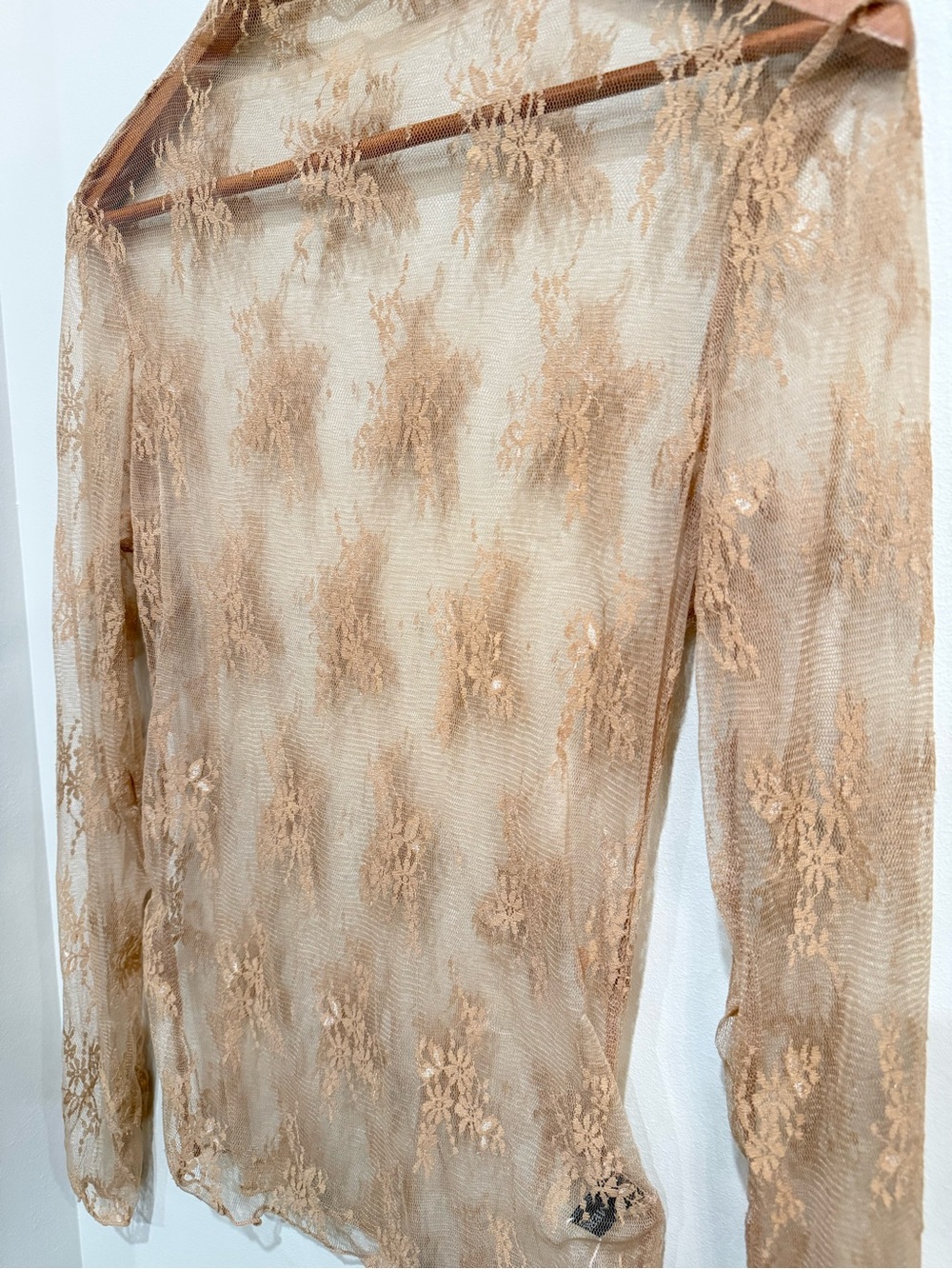 Sheer Lace Long Sleeve Top in Nude